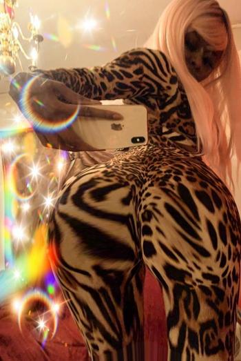 Egyptian , 27  female escort, Brunswick