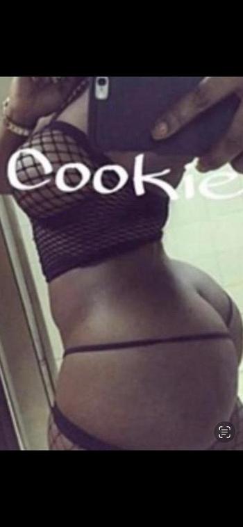 Cookie, 30  female escort, Brunswick